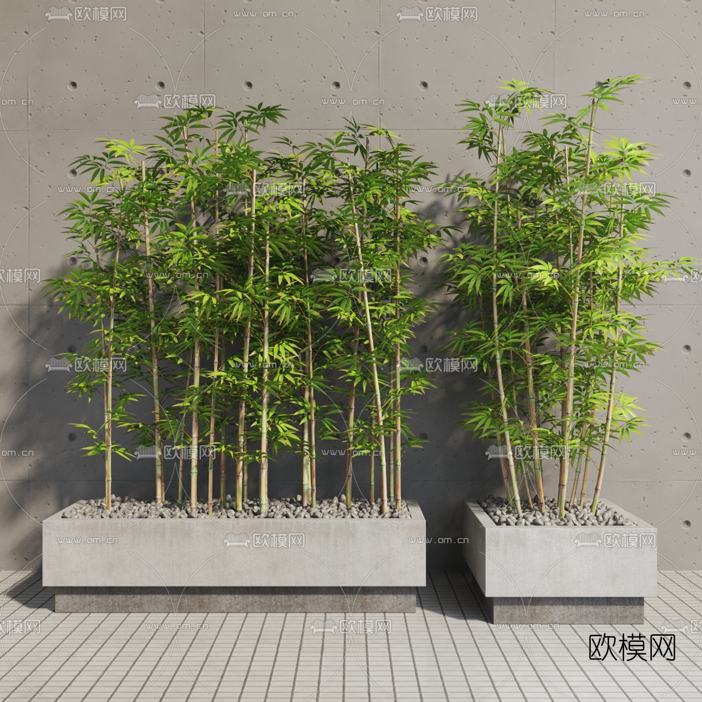 现代竹子盆栽3d模型下载（渲染图1）