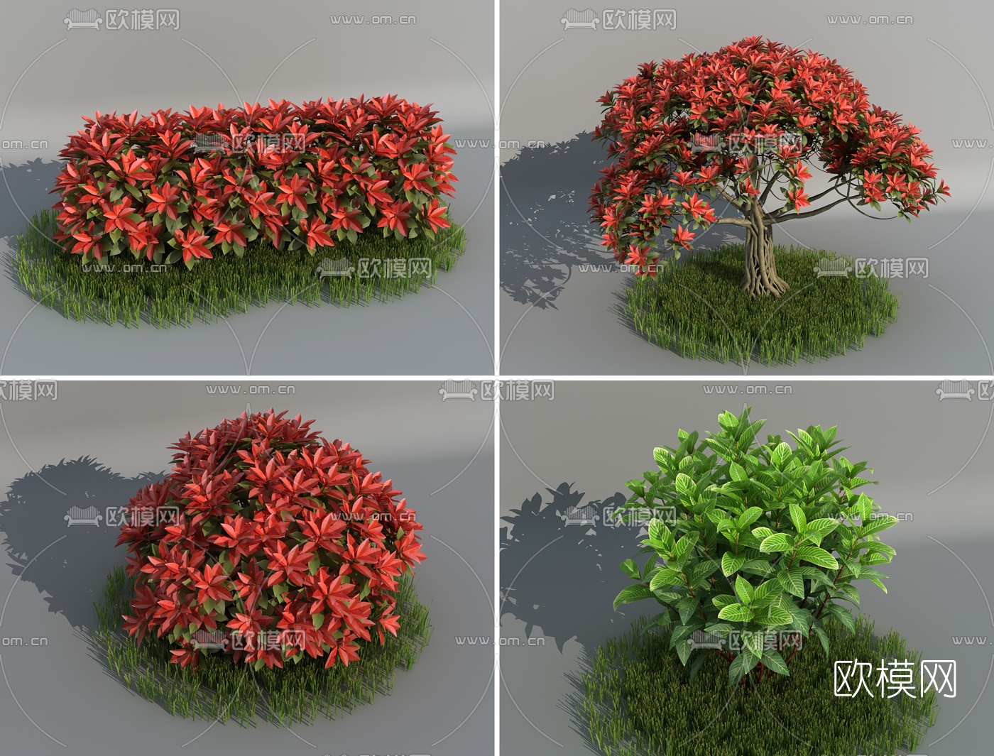 现代灌木丛3d模型下载