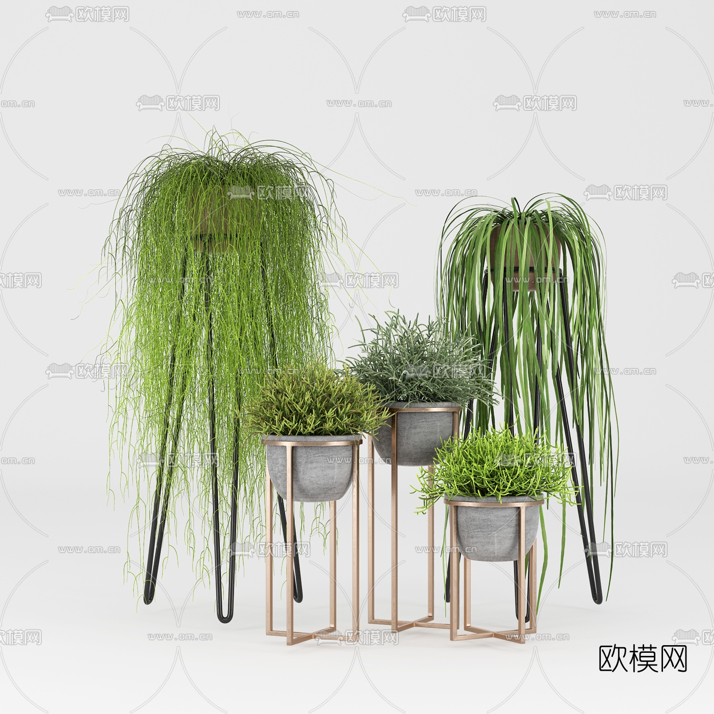 现代绿植盆栽组合3d模型