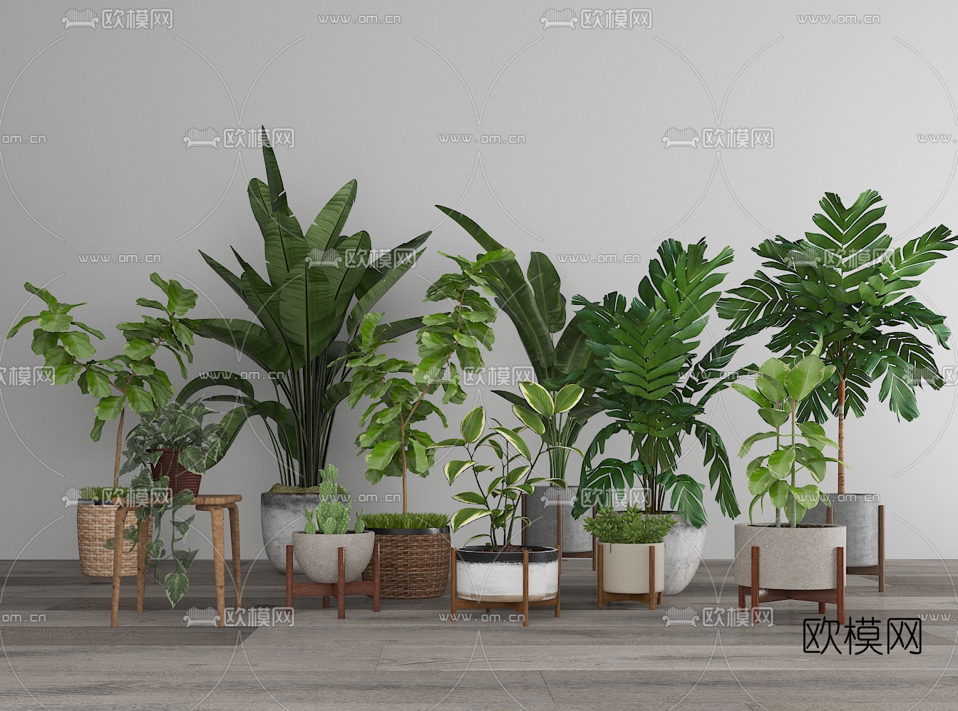 现代植物盆栽组合3d模型-免费3dmax模型库-欧模网