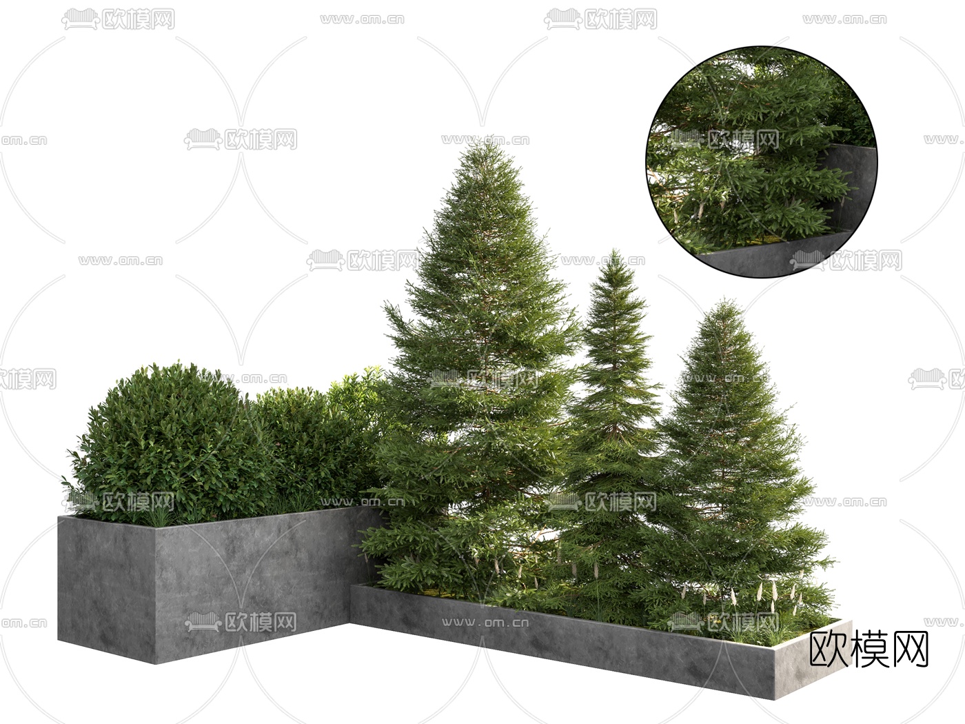 现代绿植灌木3d模型