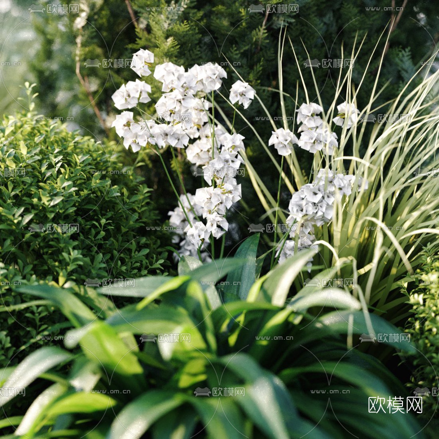 现代绿植灌木花丛3d模型下载（渲染图4）