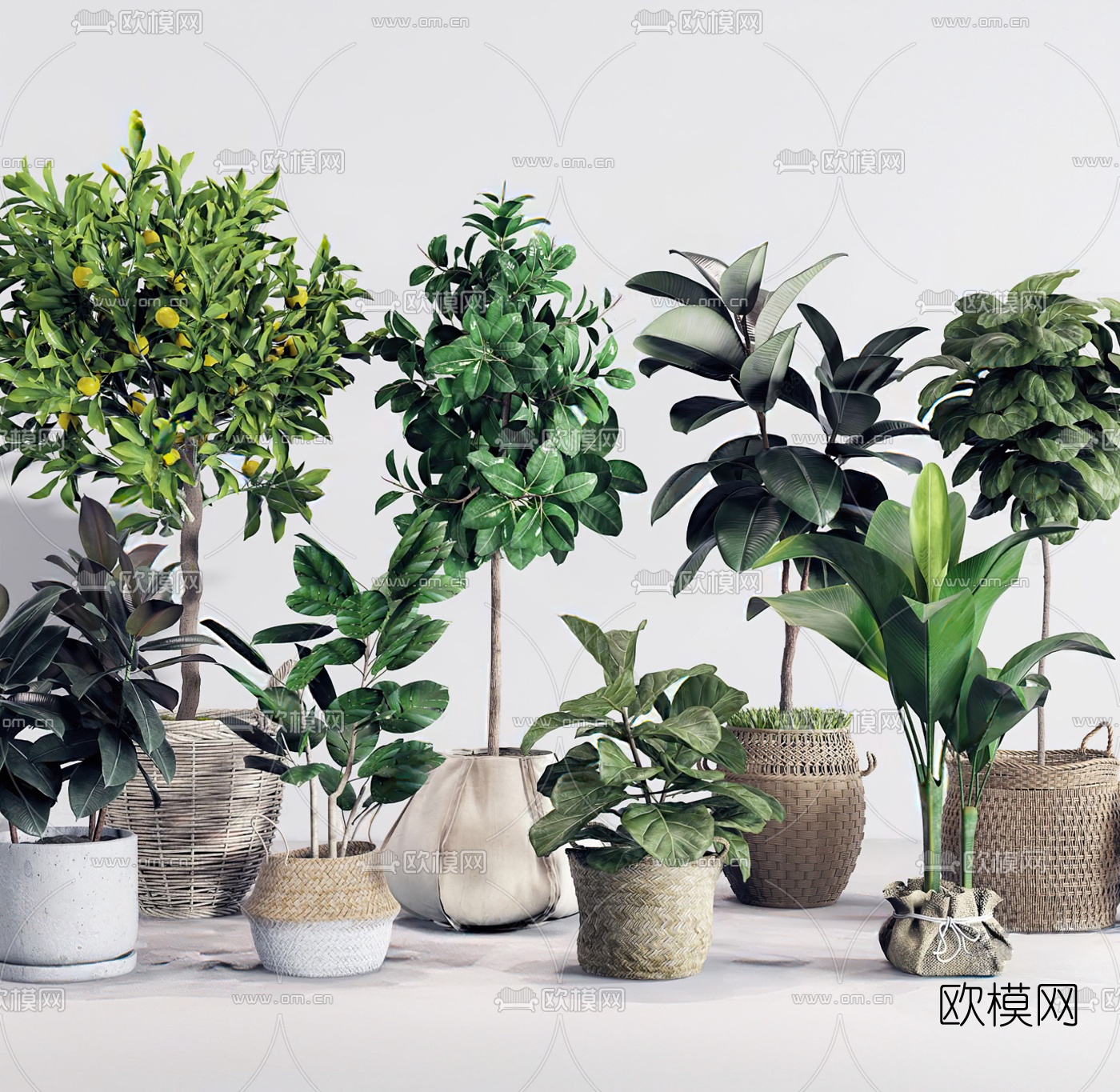 北欧绿植盆栽3d模型