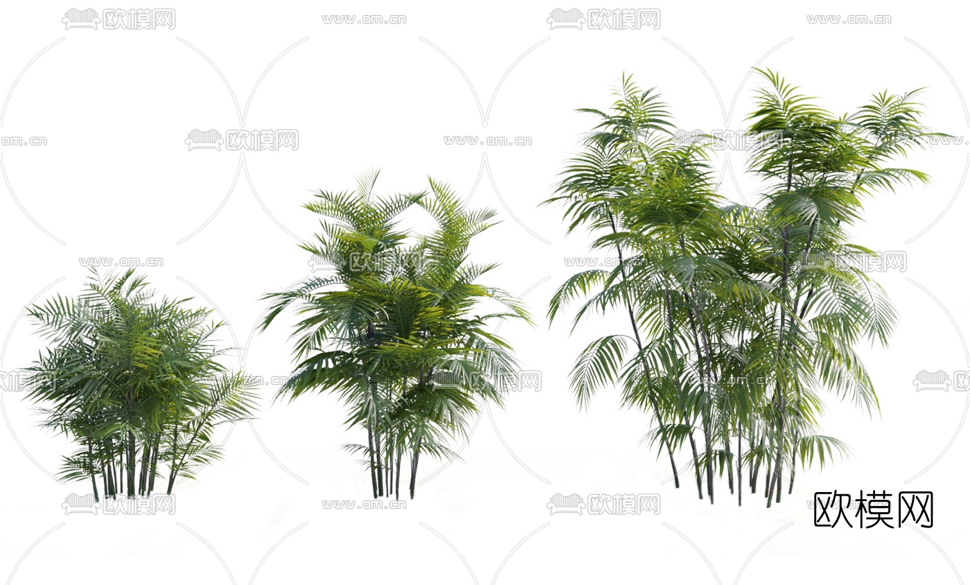 现代竹节椰子3d模型下载