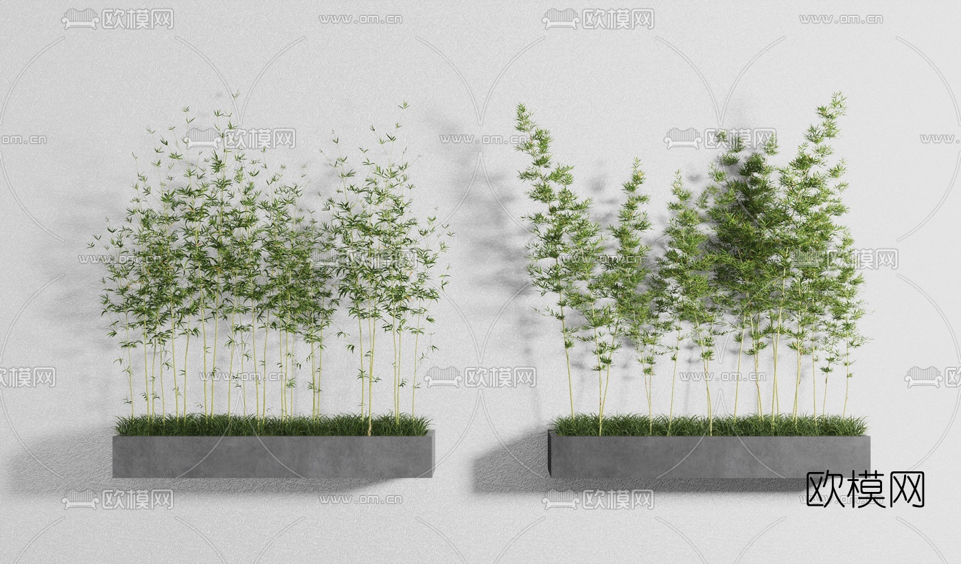 现代竹子盆栽3d模型下载