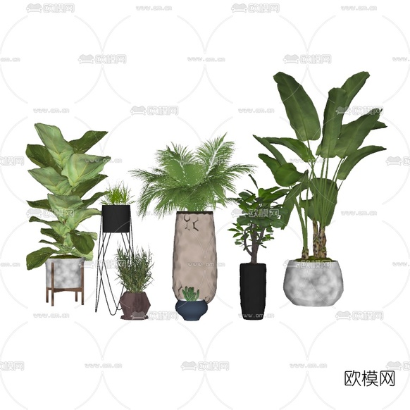 现代绿植盆栽su模型下载(渲染图4)