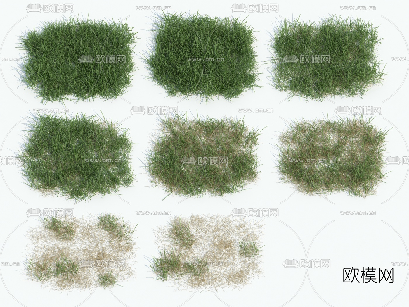 现代植物花草3d模型