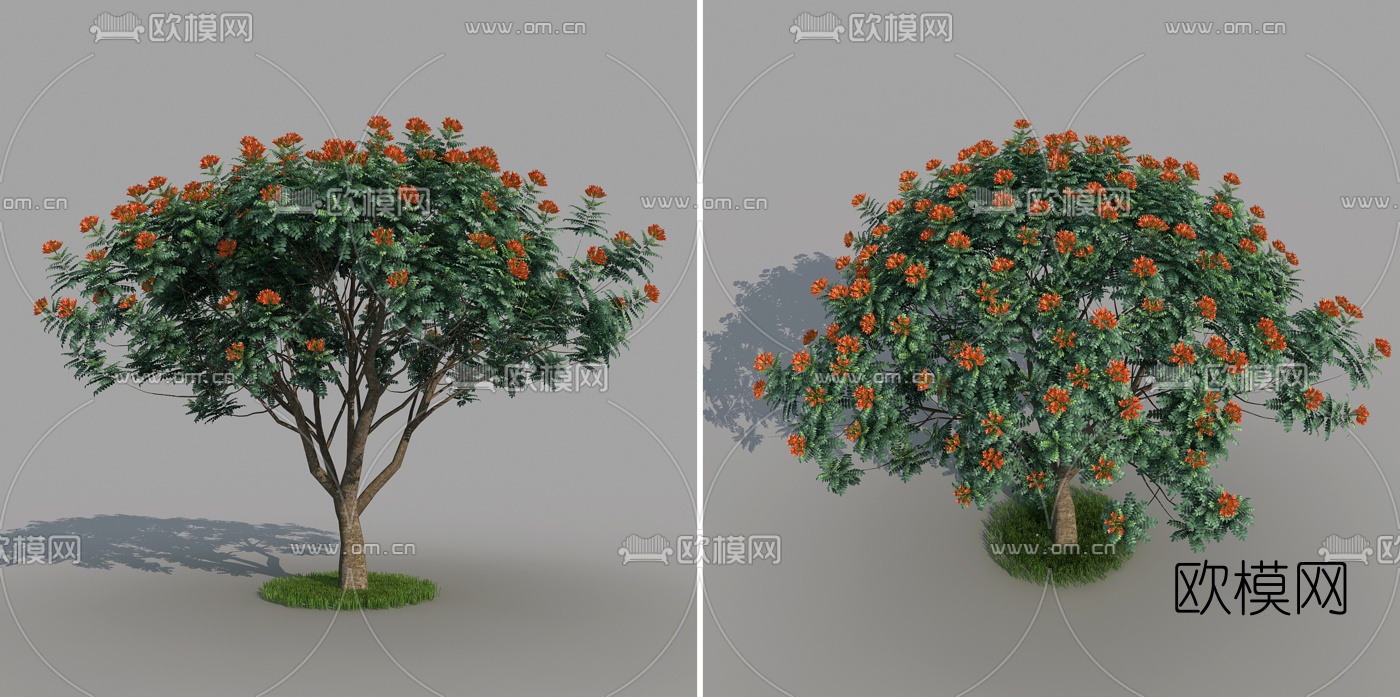 现代火焰树3d模型下载