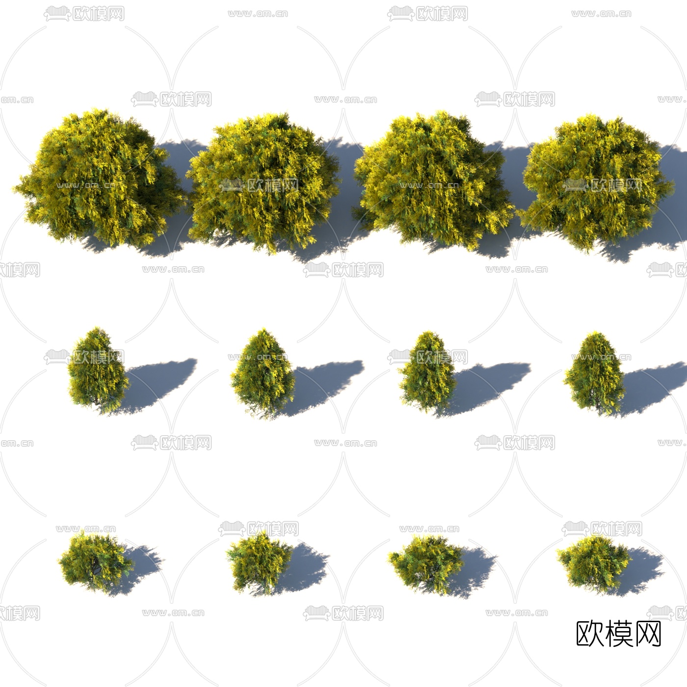 现代植物花草3d模型下载