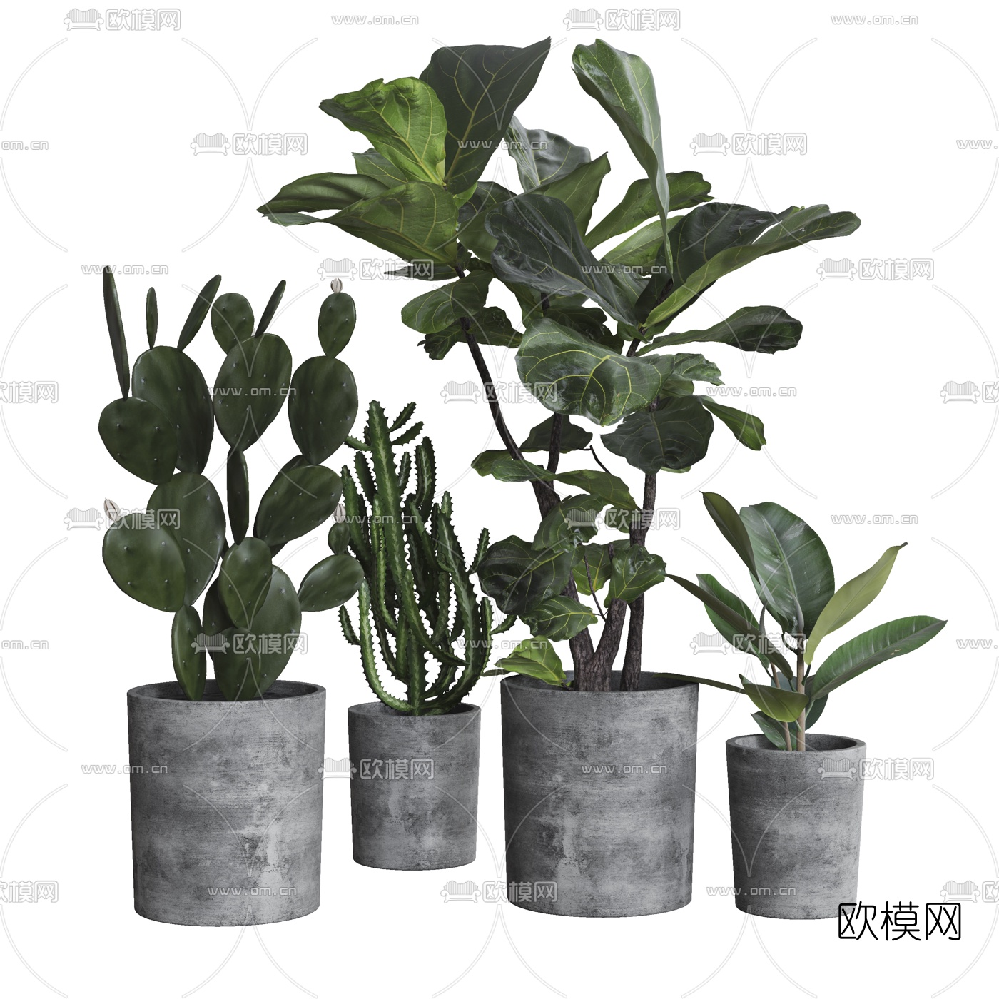 现代植物盆栽3d模型