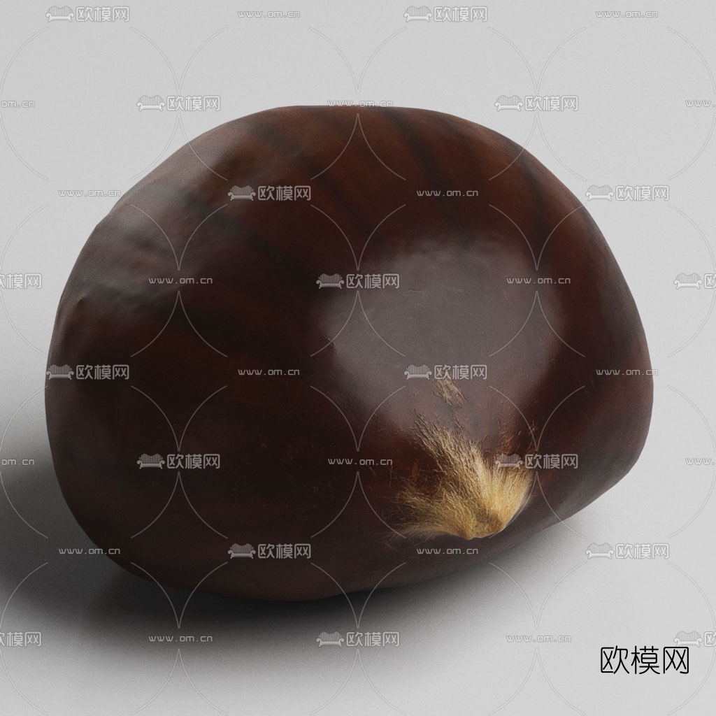 现代干果板栗3d模型下载（渲染图2）