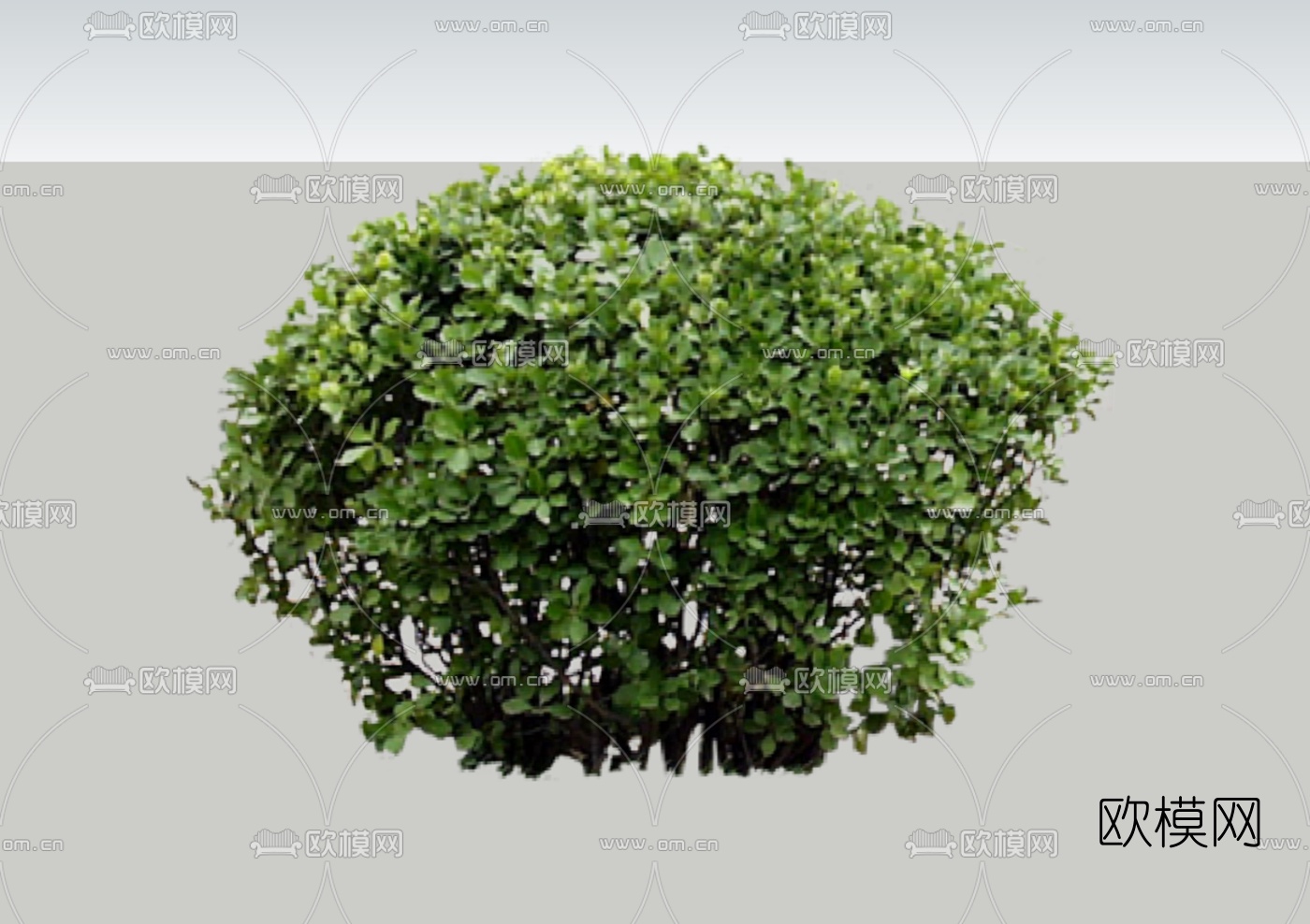 现代2d灌木组件免费su模型下载