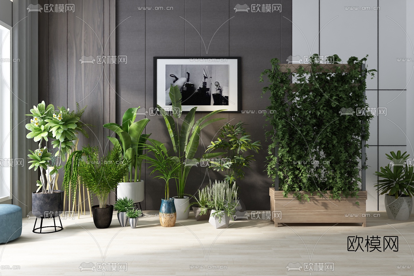 现代植物盆栽3d模型下载