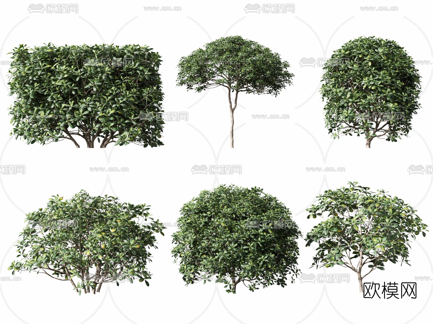 现代园林景观树3d模型