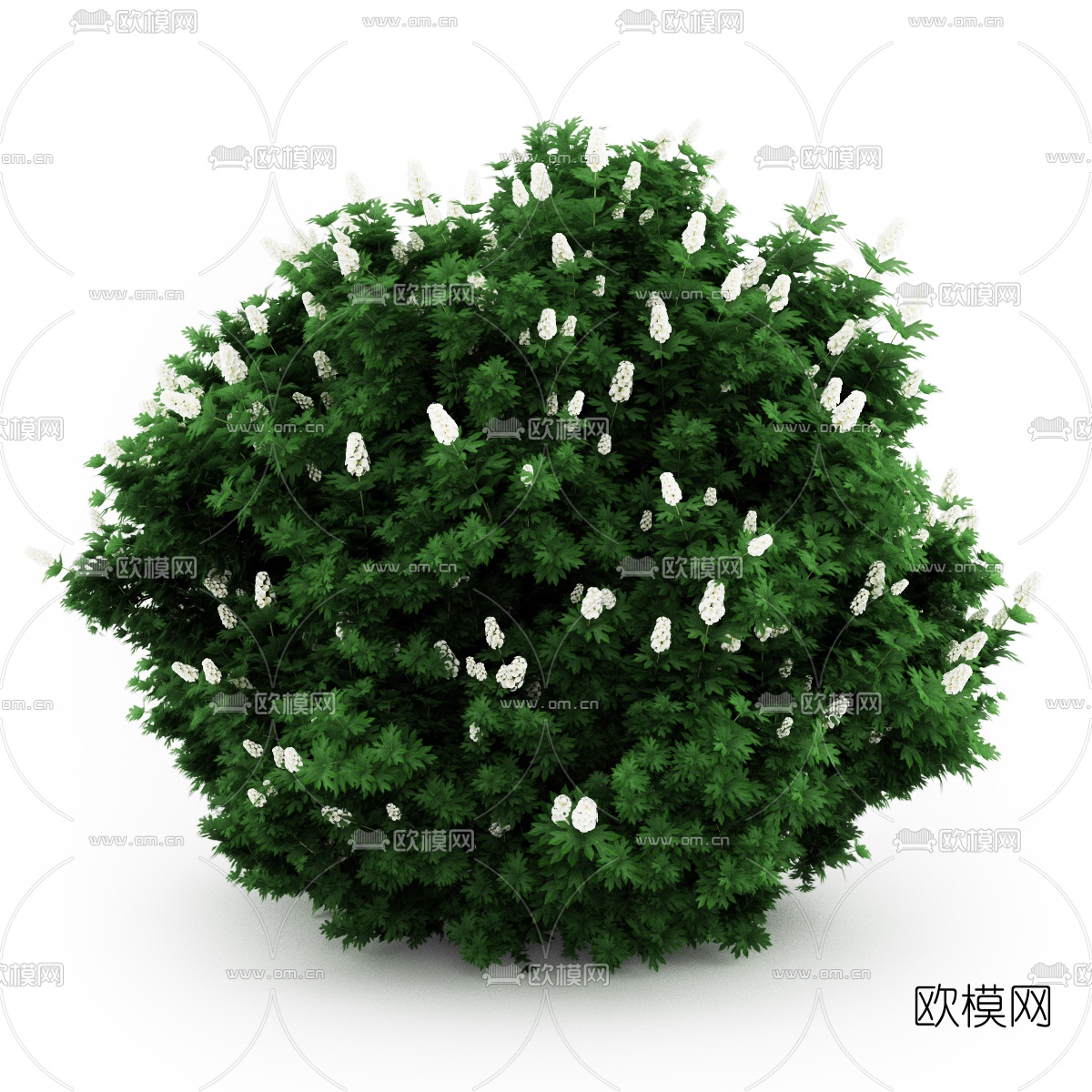 现代灌木3d模型