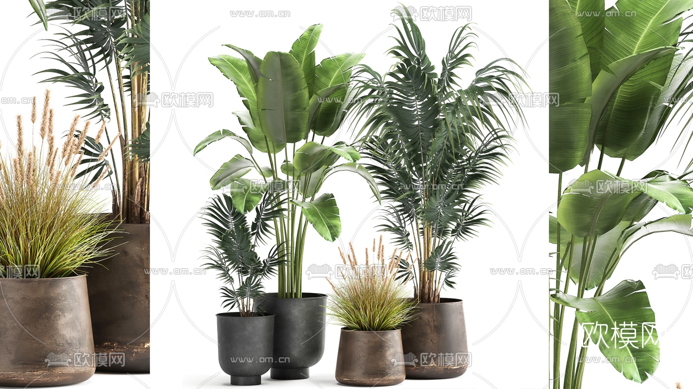 现代植物盆栽3d模型下载（渲染图1）