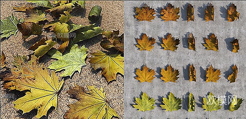 现代枫叶墙饰3D模型下载（渲染图3）