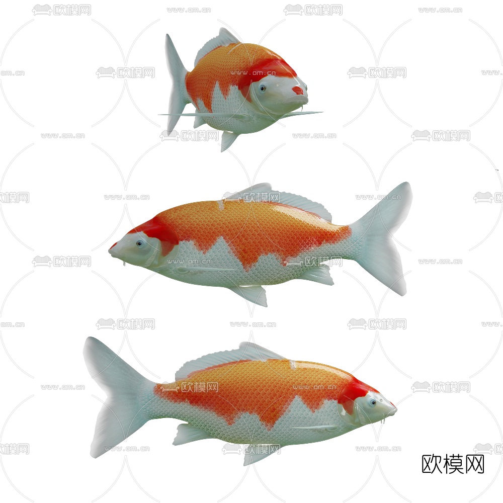 現代金魚鯉魚3d模型