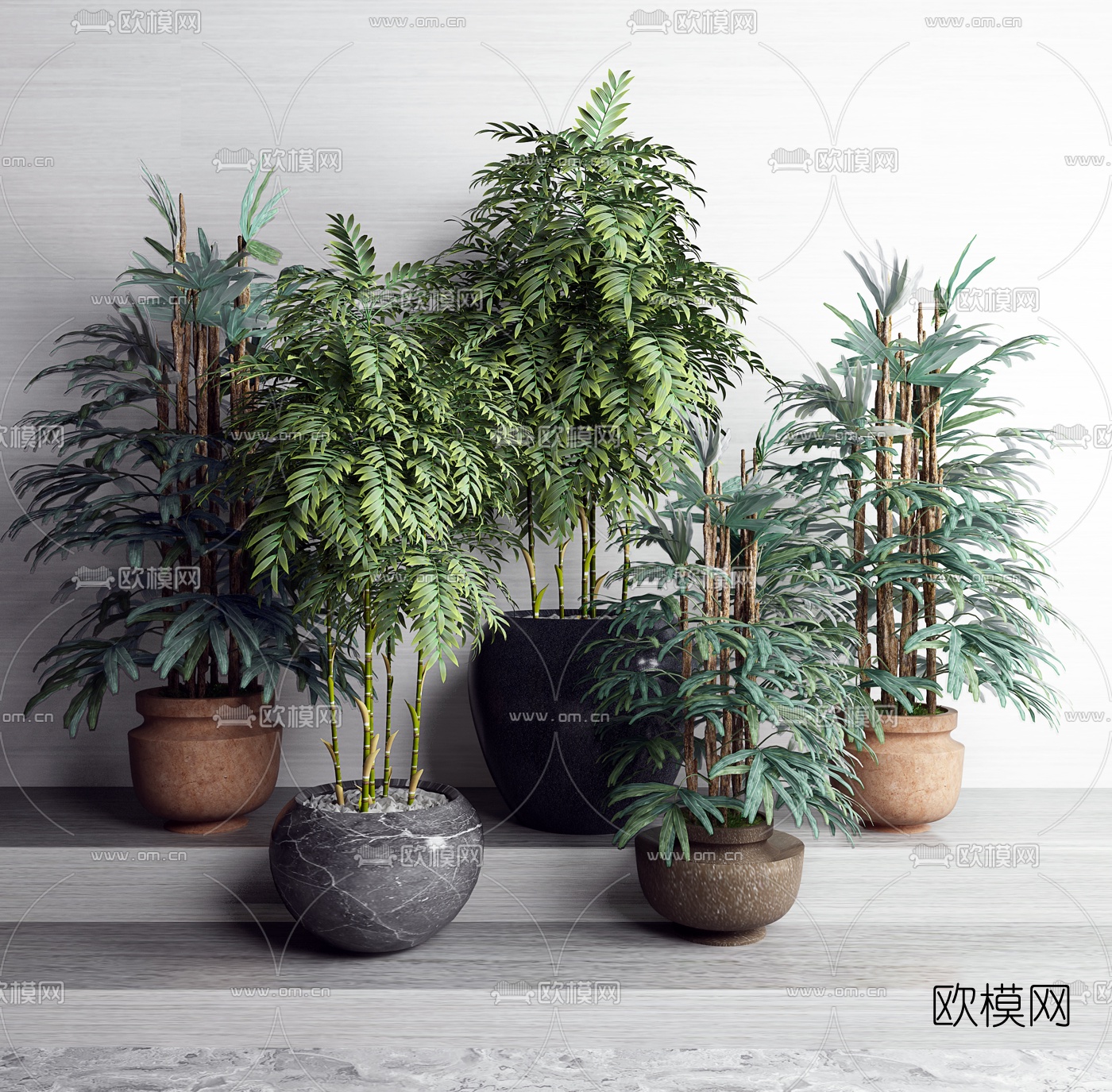 现代绿植盆栽组合3d模型-免费3dmax模型库-欧模网