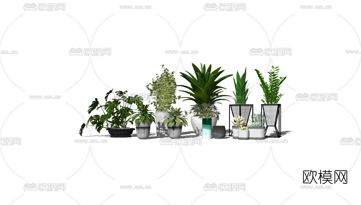 现代植物盆栽组合su模型下载（渲染图2）