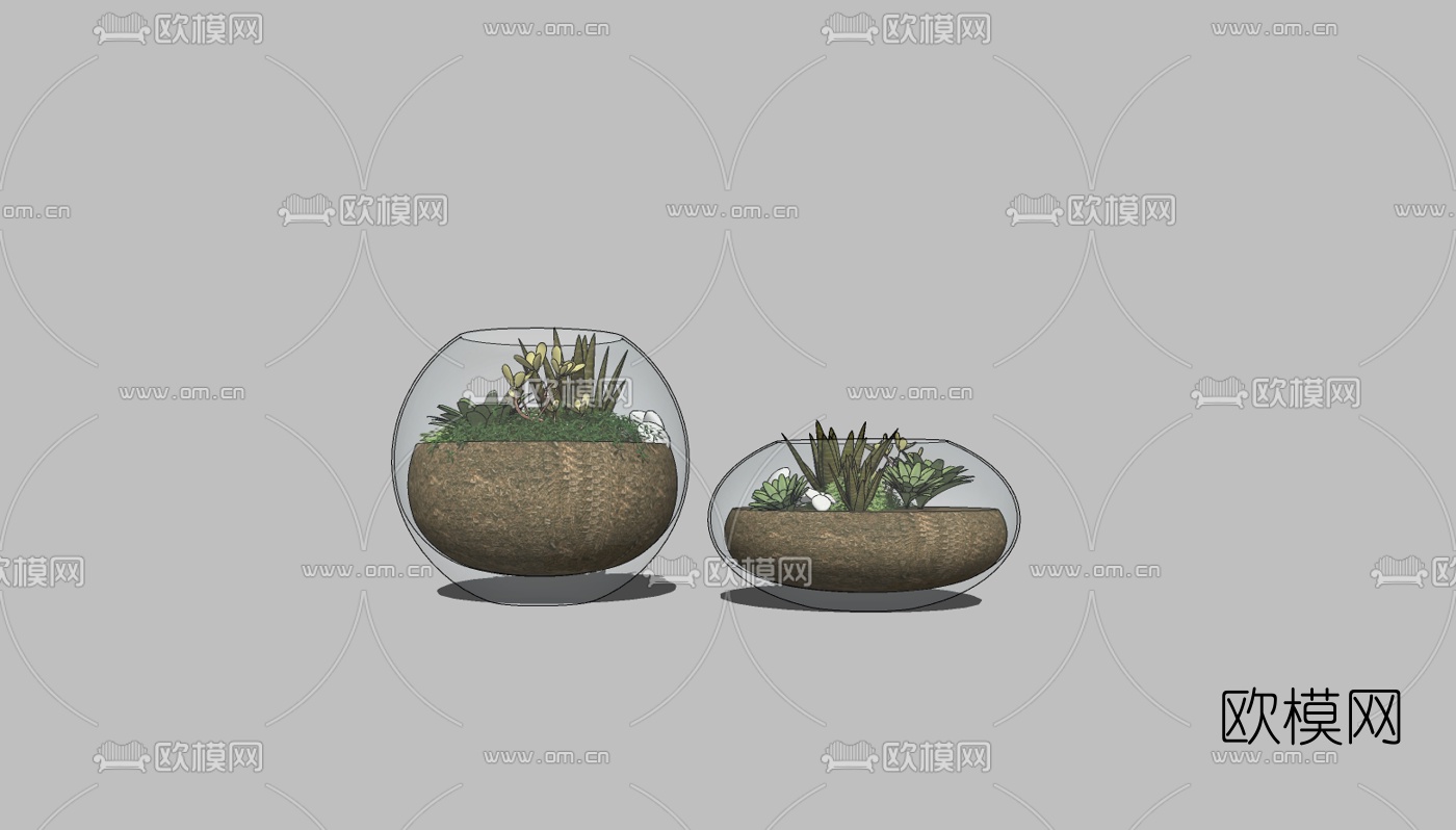 现代植物盆栽免费su模型下载