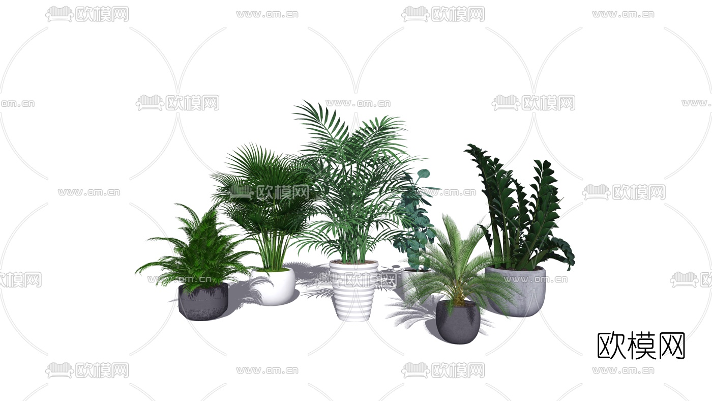 现代绿植盆栽su模型下载（渲染图2）