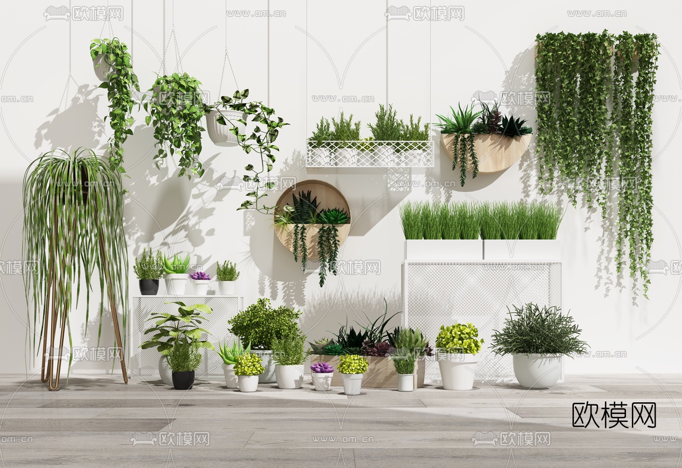 现代盆栽植物3d模型