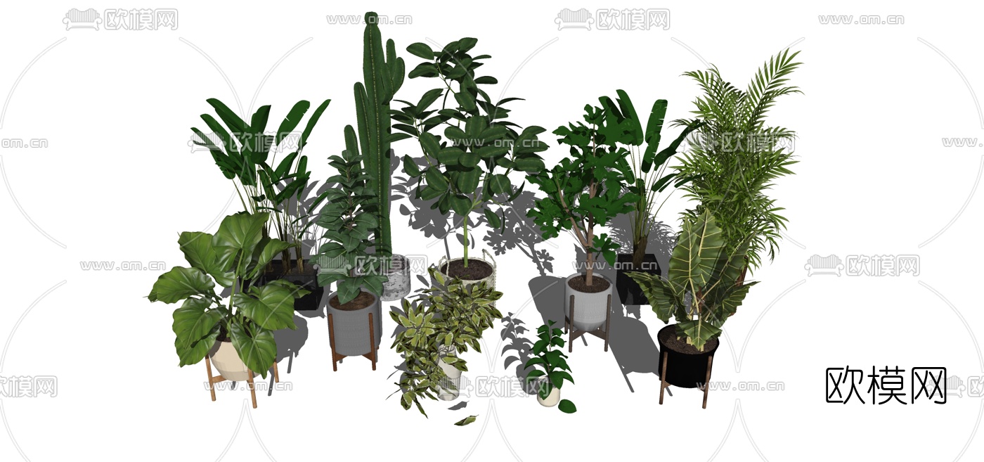 现代绿植盆栽组合su模型下载（渲染图1）