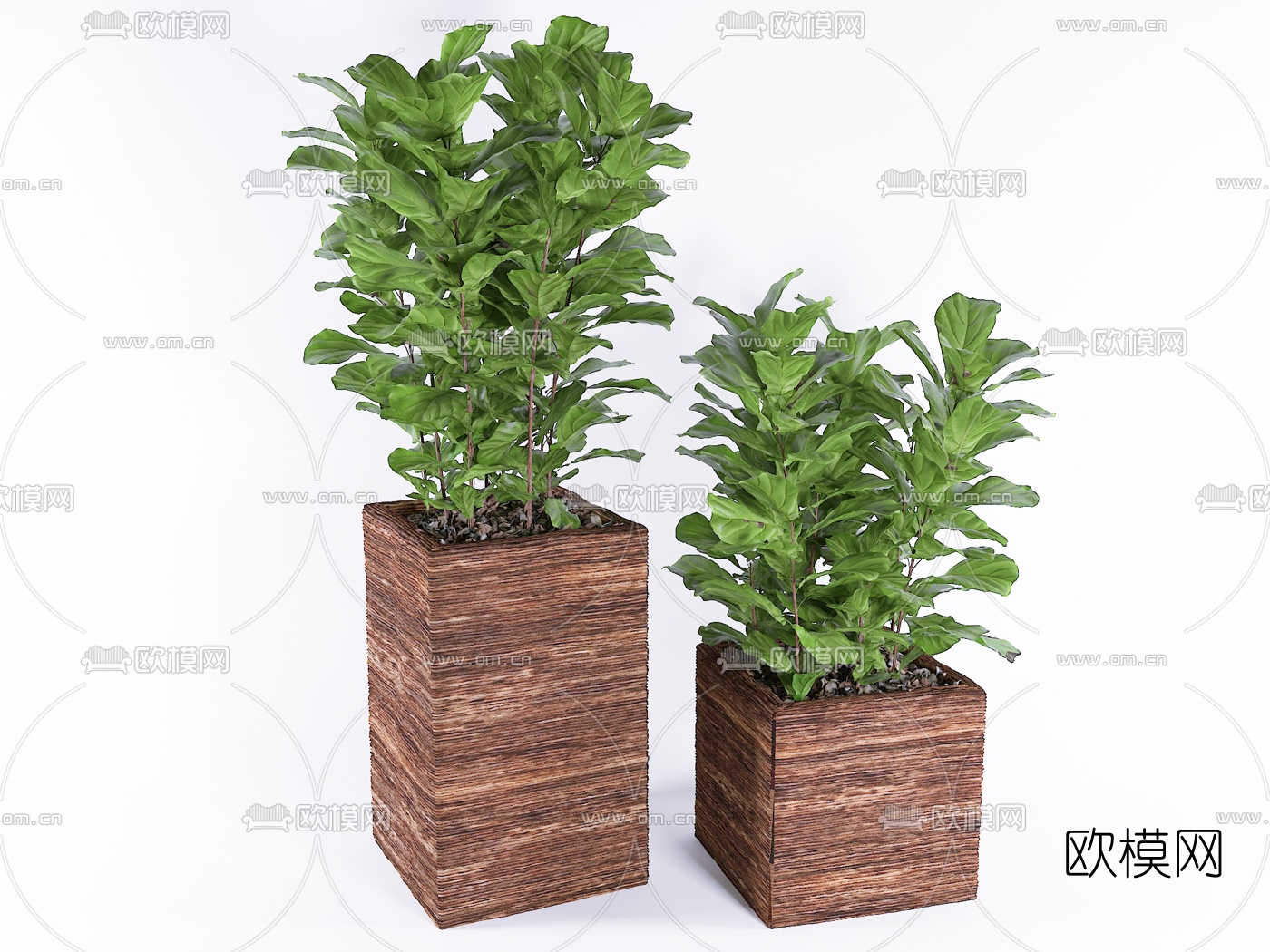 现代绿植盆栽组合3D模型