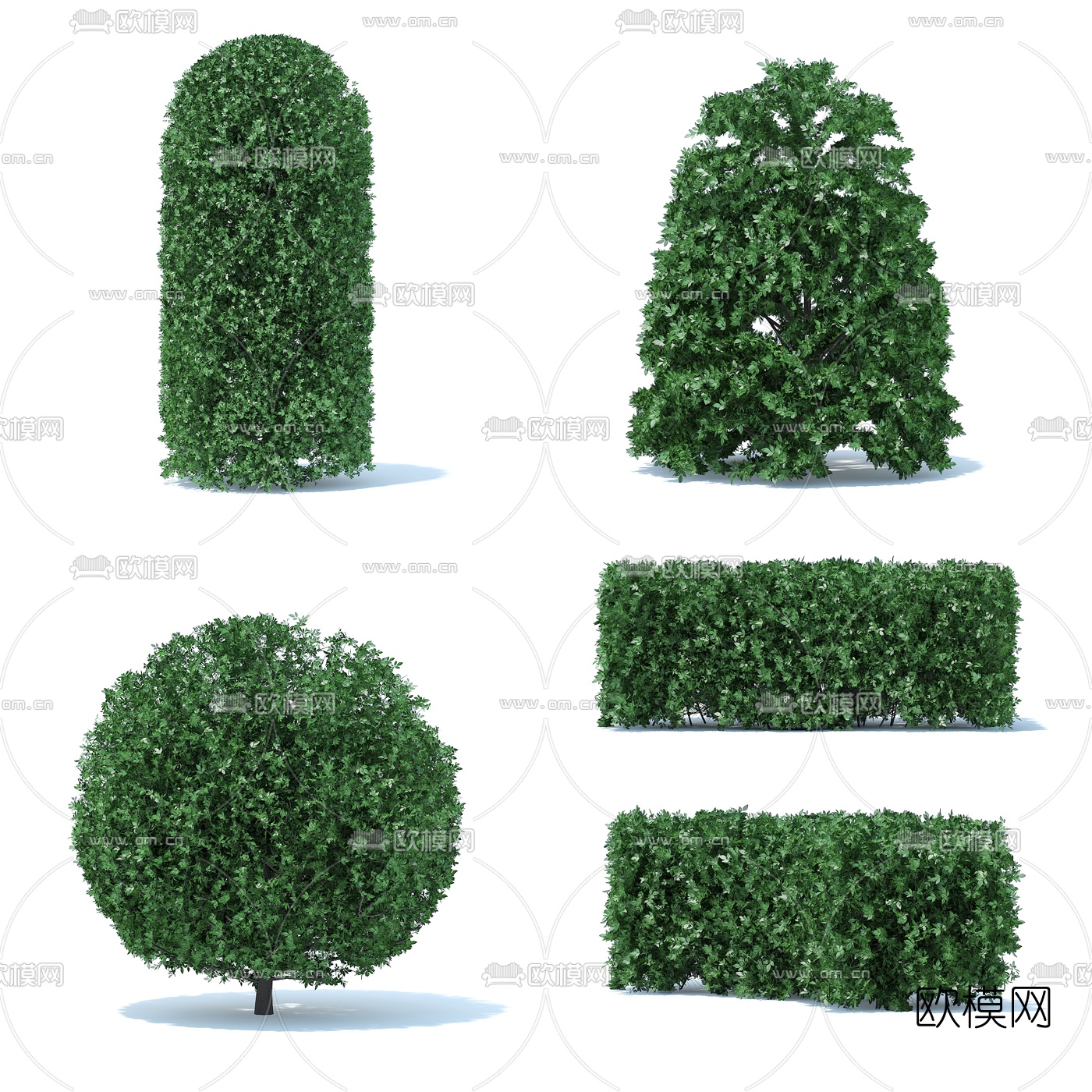 现代园林灌木组合3d模型