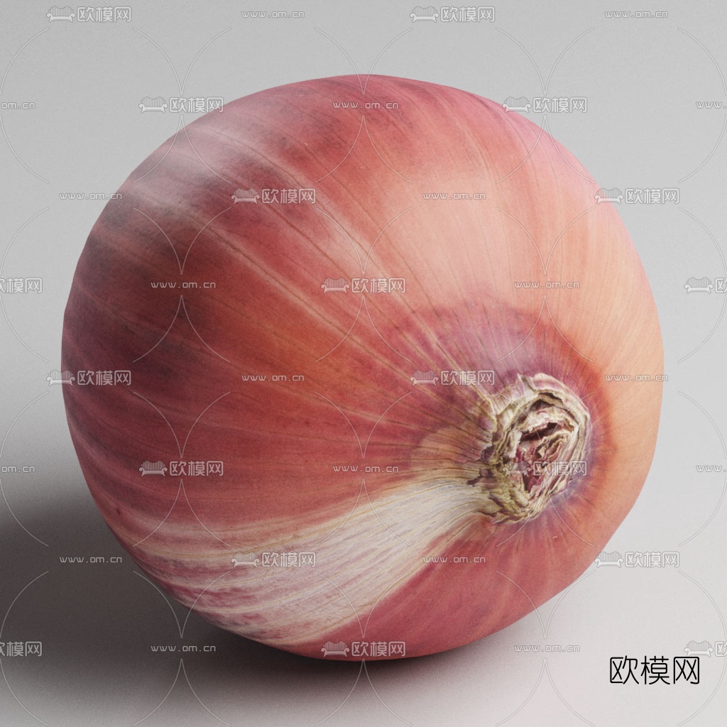 现代蔬菜洋葱3d模型下载（渲染图2）