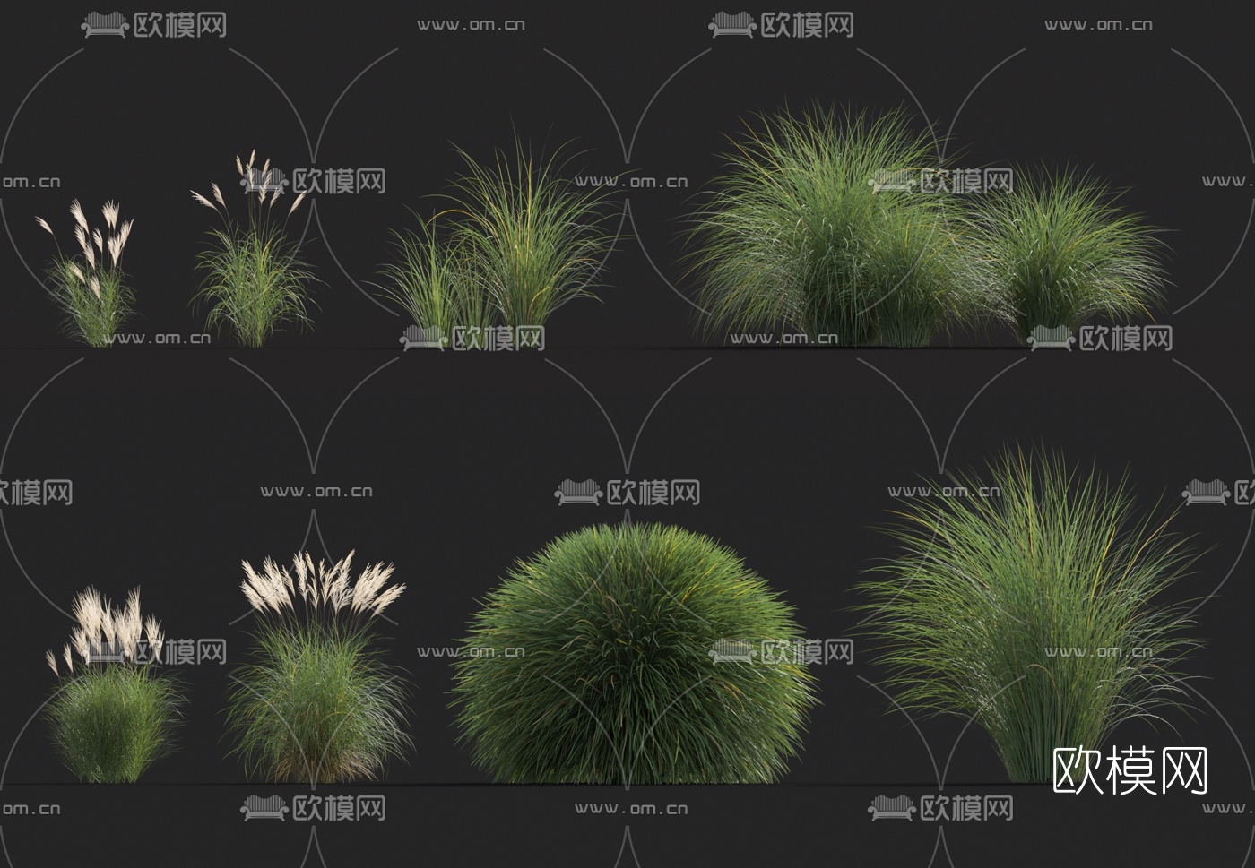 现代花草3d模型下载