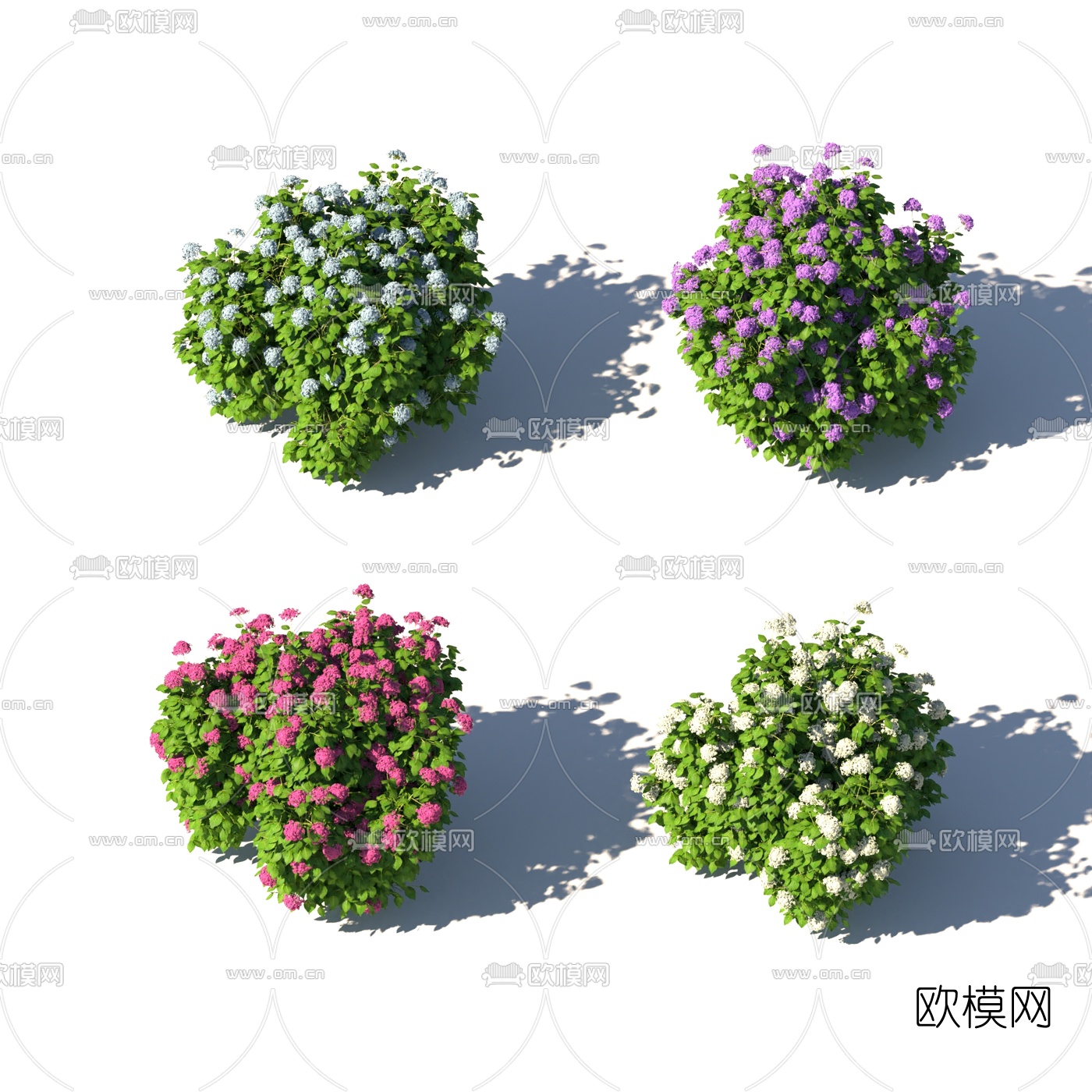 现代植物花草3d模型下载