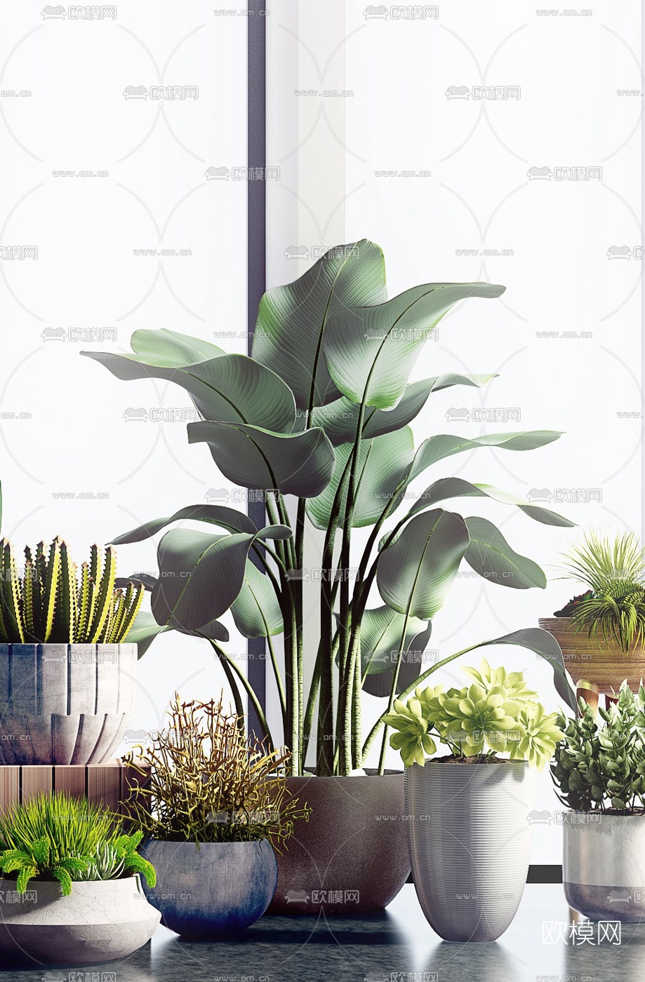 现代绿植盆栽3d模型下载（渲染图2）