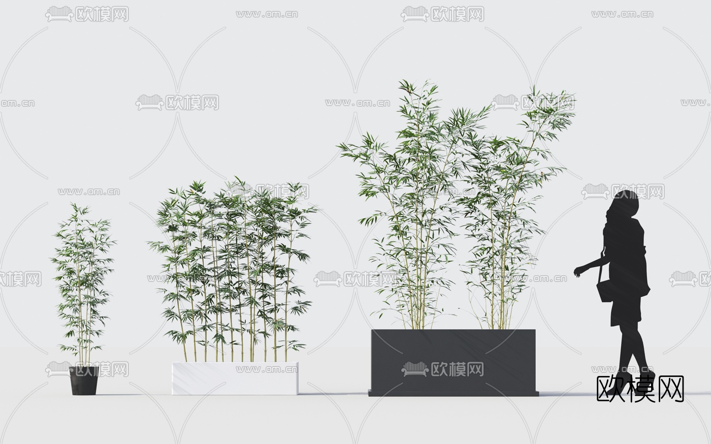 现代植物竹子3d模型