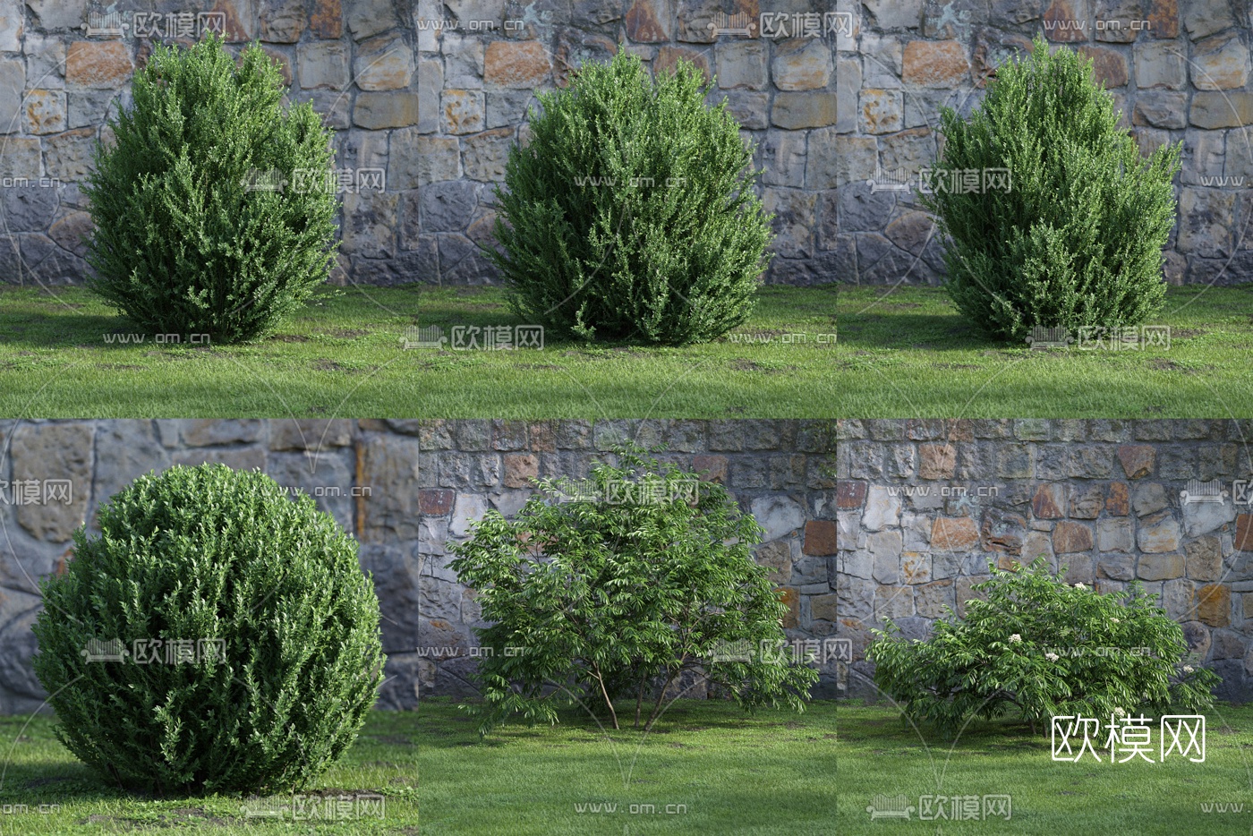 现代灌木绿植组合3d模型