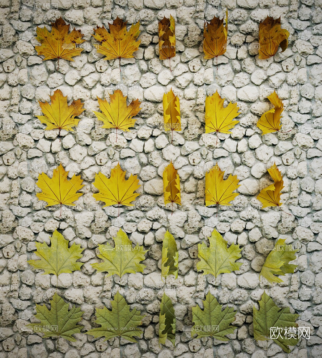 现代枫叶墙饰3D模型下载（渲染图2）