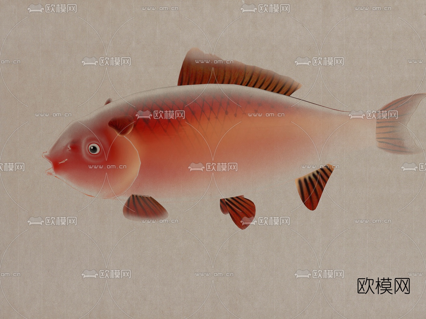 中式写实金鱼3d模型下载（渲染图2）