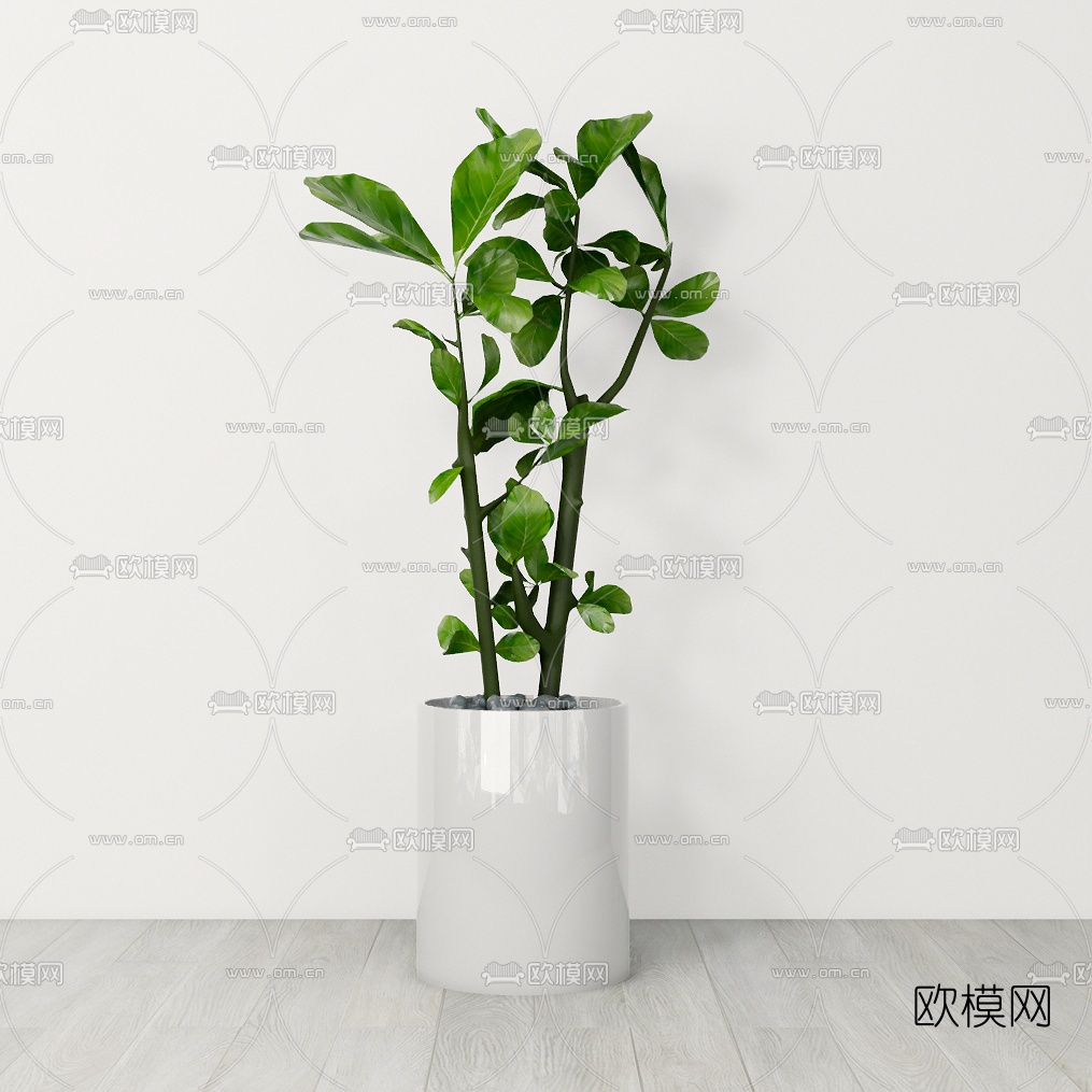 现代吊兰盆栽组合su模型下载（渲染图4）