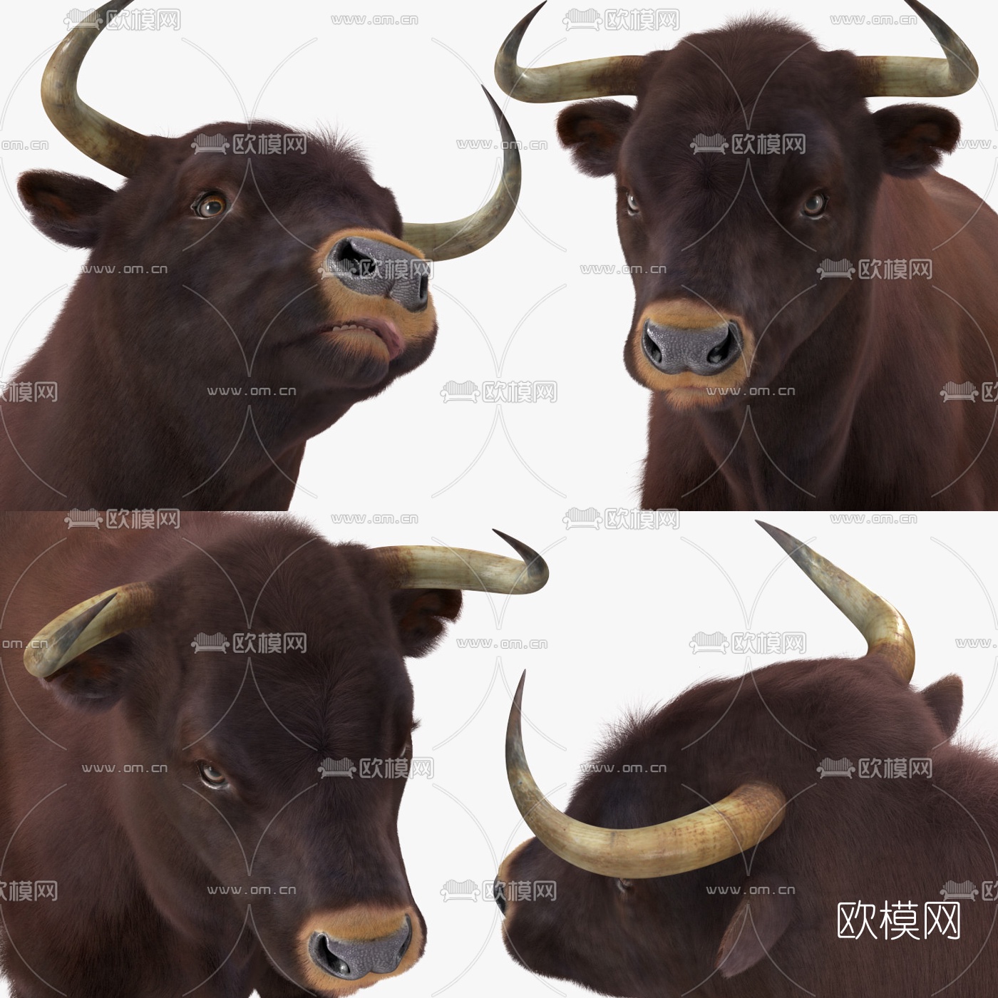 现代公牛3d模型