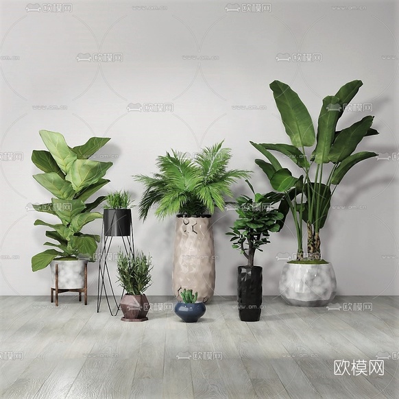 现代绿植盆栽su模型下载(渲染图1)