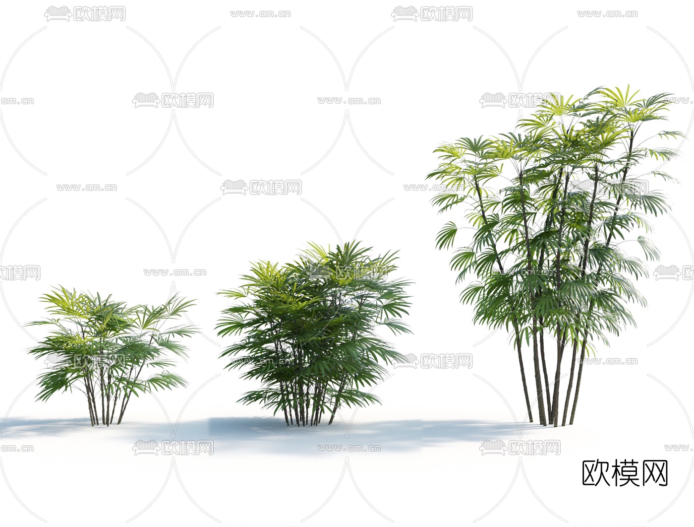 现代绿植竹子3d模型下载