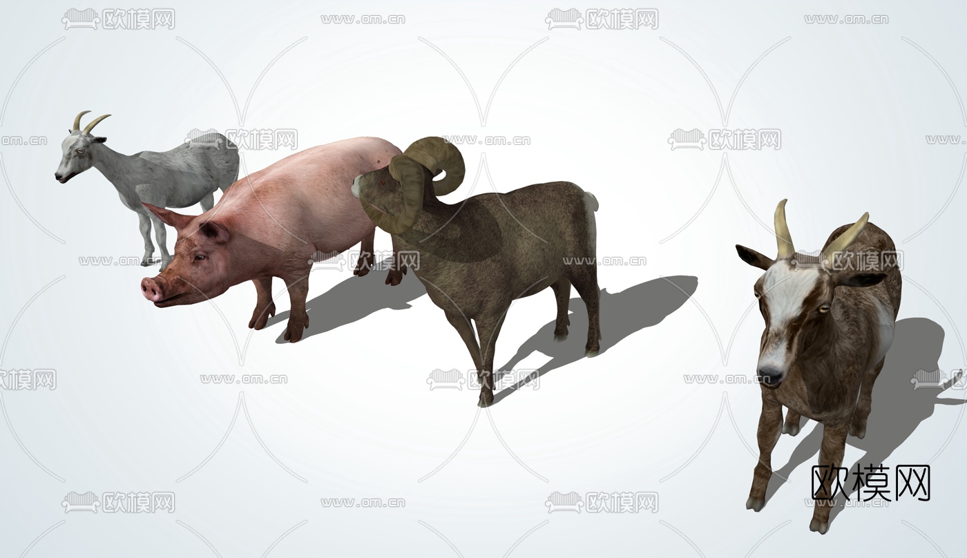 现代家畜猪羊su模型下载（渲染图2）