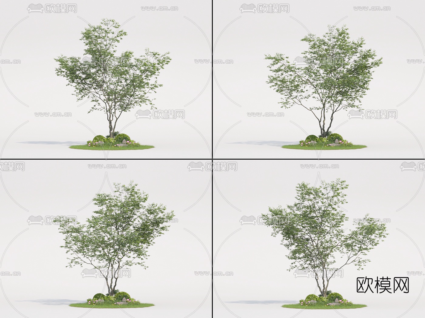 现代景观树3d模型