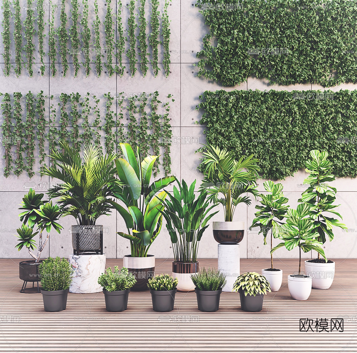 现代绿植盆栽藤蔓3d模型下载