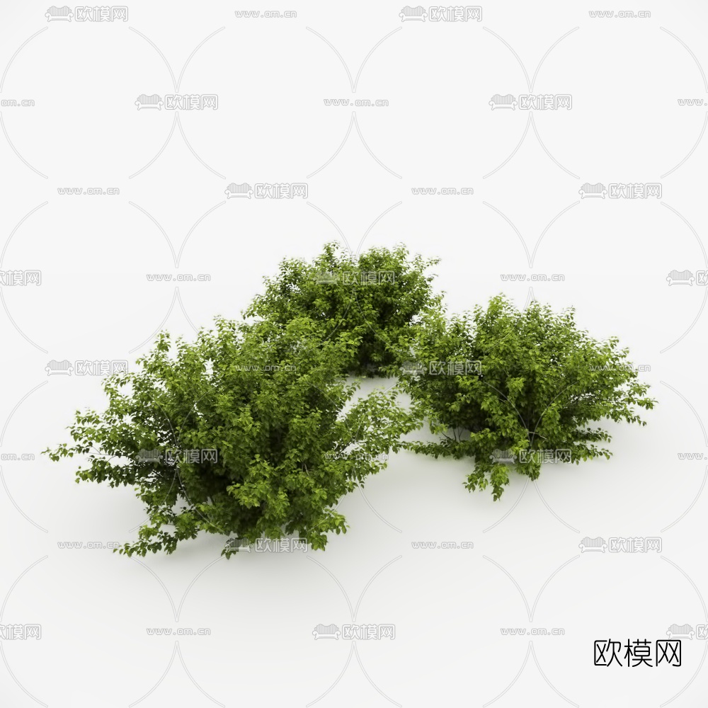现代灌木丛3d模型下载_ID10573450_3dmax免费模型-欧模网