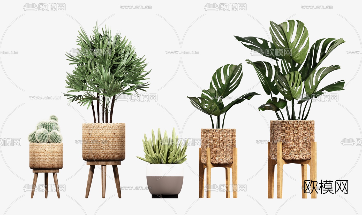 北欧植物盆栽组合3d模型