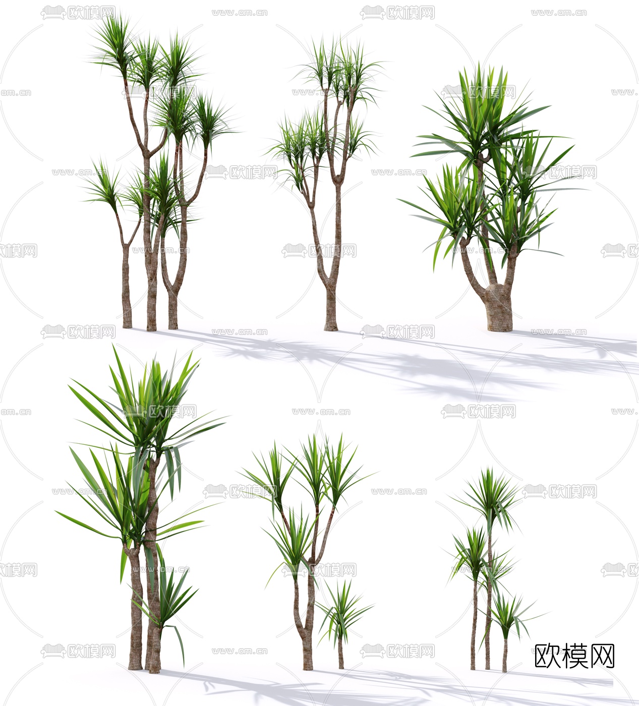 现代景观树组合3d模型