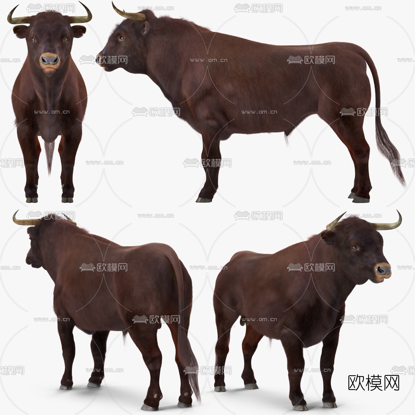 现代公牛3d模型