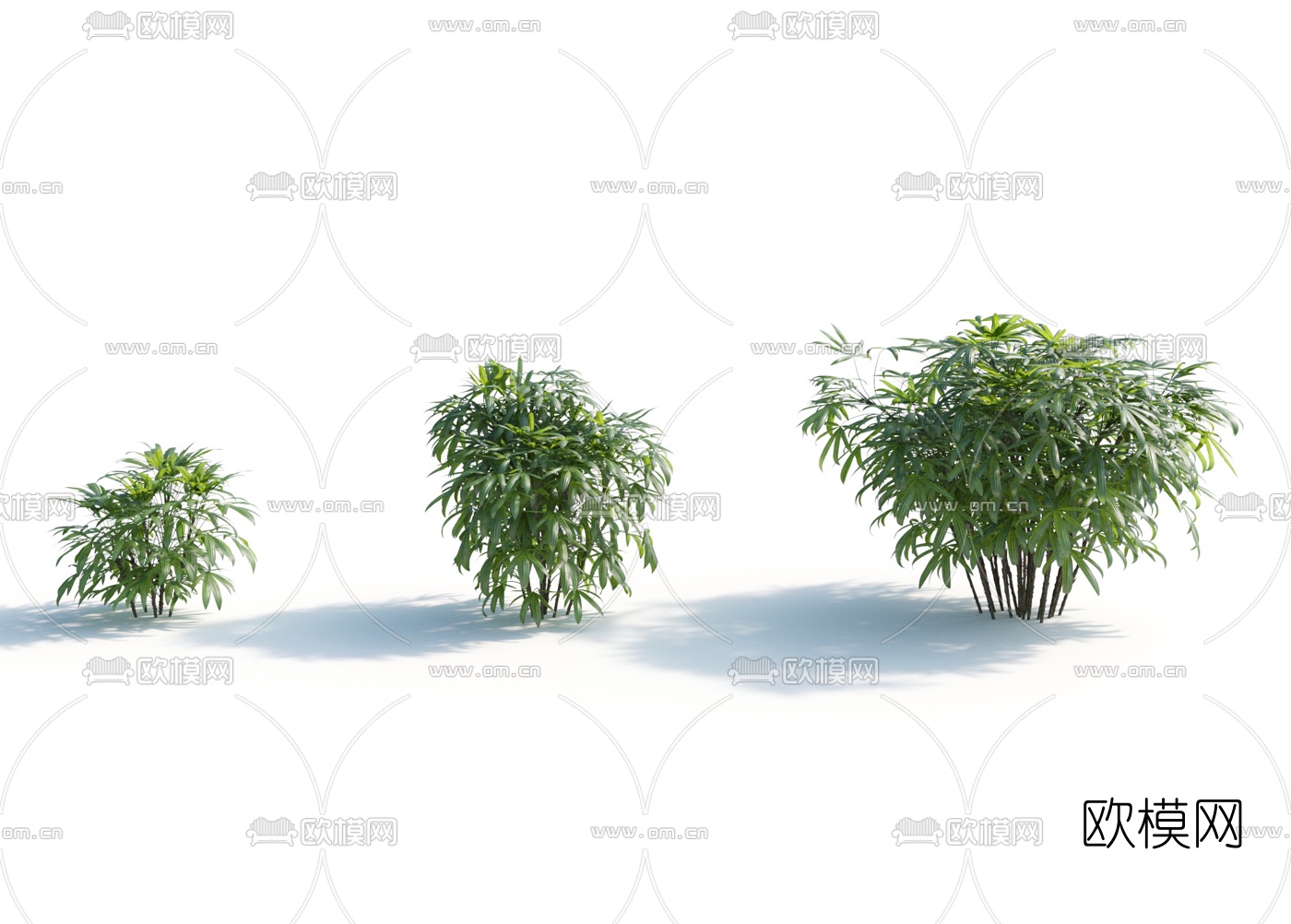 现代绿植竹子3d模型下载